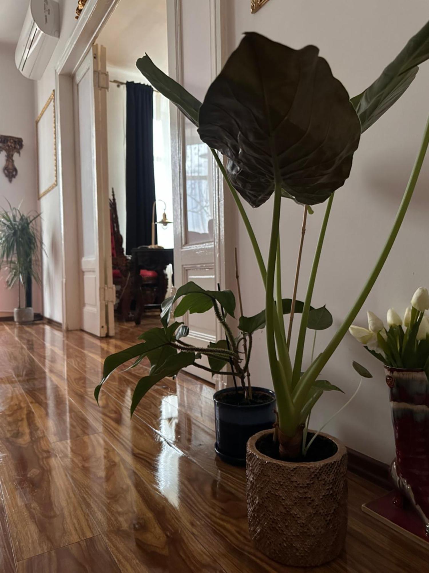 Exclusive Apartment Chmielna Street 95M2 Warsawa Bagian luar foto